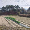 금산농장 이미지