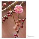 이대표공인중개사사무소 이미지