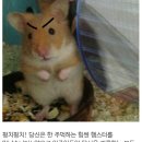 강령전