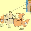 강화루비마을점 | 포르투갈, 포트 와인(Portugal, Port Wines)