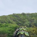 의성곤충연구소
