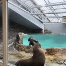 외궁 | [미에현 여행] 이세신궁 외궁 맛집 “이세 우동 마메야”