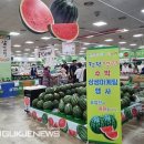 법인청원 이미지
