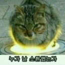 식도락푸드 이미지