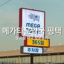 친절한약국 | 만세로 평택 약국 추천 / 친절한 상담 약국 / 평택 영양제 구매 메가타운약국 평택점 방문 후기 내돈내산