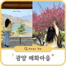 섬진강 트레킹코스 | 광양 매화마을 주차장 &amp; 섬진강 트레킹 코스 완벽 가이드ㅣ당일치기 봄꽃 여행