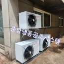 태안냉동냉장