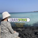 제주도2박3일여행 - 제주 더포그레이스리조트, 소품샵, 휴애리자연생활공원