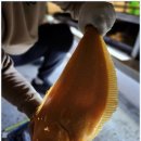 뚜루실내낚시 이미지