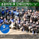 캡틴게임장 이미지