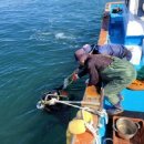 추진목장 이미지