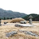 예산-11 이미지