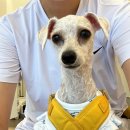 견발소 이미지