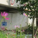 이조3리 이미지