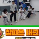 올바른 태권도 이미지