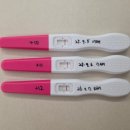 원포공원 | 줄 9일차 매직아이 10일차 11일차 12일차 얼리 임테기 희미한 두줄 진하기 / 원포 얼리 임신테스트기 추천