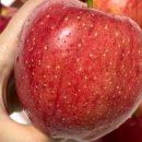 대용농장 이미지