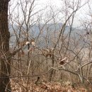 장원초교 이미지