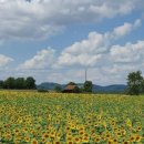 윤정 농장 이미지