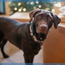 잠실베스트동물메디컬센터 이미지