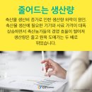 코이파트너스