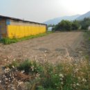 철원목장 이미지