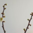 이영춘「풀잎」 이미지