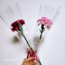 은혜꽃집