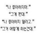 코지홀리데이