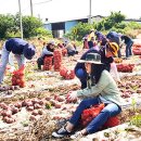 서호면사무소 이미지