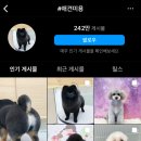 디어몽펫살롱 네이버블로그