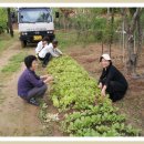 분남농장 이미지