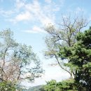 순국공원2 이미지