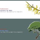 서울애화학교 이미지