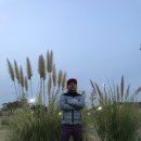 대청공원 골프랜드 이미지