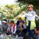 덕암초교 이미지