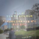 이끌림홈케어