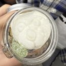 젤리코스 | 연남 "베렌트레프" 독일 젤리 연남동 데이트 코스 곰보틀 젤리 가격 후기