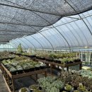 경숙농장 이미지