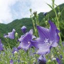 좋은생각