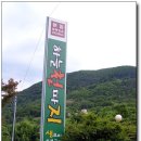 하늘천따지 Daum카페