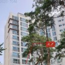 풍림아파트 삼거리(부동산) 이미지