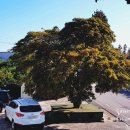 하례2리 마을회관 이미지