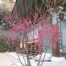 장림2동-11 이미지