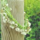 무학초등학교 이미지