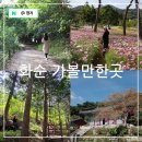 화순고인돌보호각 공중화장실 | 전남 화순 가볼만한곳 고인돌 가을꽃축제 세량제(세량지) 만연사 너릿재옛길 등