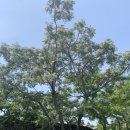 춘희화장품 - 수성구 들안로32길 86 | 춘희화장품