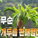 백전농장2 이미지