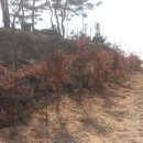 진정2농장 이미지