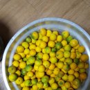 부림농장 이미지